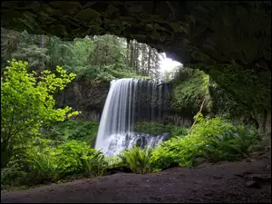 Leśny wodospad widziany z jaskini
