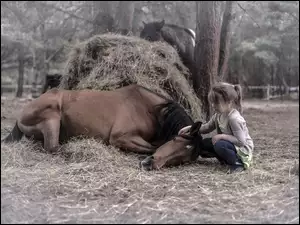Dziewczynka z koniem