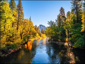 Stany Zjednoczone, Góry, Kalifornia, Drzewa, Jesień, Rzeka, Merced River, Park Narodowy Yosemite, Drzewa