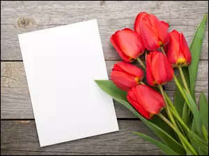 Czerwone tulipany z kartką