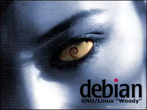 oko, zawijas, muszla, grafika, rzęsy, ślimak, Linux Debian