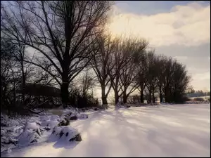 Drzewa w śniegu nad zaśnieżonym stawem