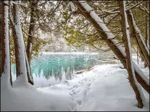 Śnieg, Rzeka, Stany Zjednoczone, Zima, Michigan, Palms Book State Park, Drzewa