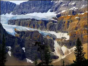 Crowfoot Glacier, Góry, Drzewa, Alberta, Crowfoot Mountain, Lodowiec, Kanada, Park Narodowy Banff
