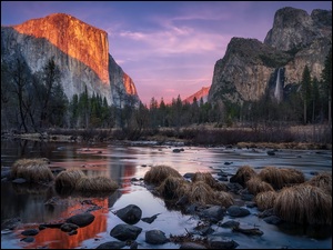 Stan Kalifornia, Stany Zjednoczone, Rzeka Merced, Góry Sierra Nevada, Park Narodowy Yosemite, Drzewa