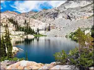 Sosny, Góry, Lyons Lake, Kalifornia, Sierra Nevada Mountains, Drzewa, Stany Zjednoczone, Jezioro