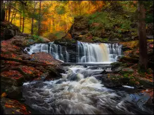 Drzewa, Pensylwania, Rzeka, Wodospad, Cayuga Falls, Ricketts Glen State Park, Jesień, Stany Zjednoczone, Las