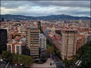 Wieżowce, Miasto, Drzewa, Hiszpania, Ulice, Barcelona
