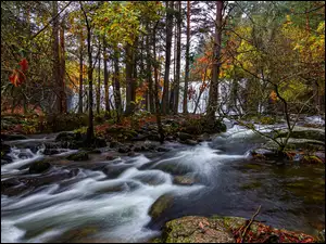 Wodospad, Rzeka, Drzewa, Jesień, Kaskada