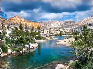 Sosny, Góry, Lake Tahoe, Kalifornia, Sierra Nevada, Drzewa, Stany Zjednoczone, Jezioro