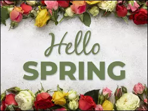 Kolorowe, Kwiaty, Napis, Wiosna, Róże, Hello Spring