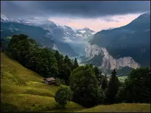 Domy, Gmina Lauterbrunnen, Drzewa, Dolina Lauterbrunnen, Lasy, Wengen, Góry, Szwajcaria, Alpy Berneńskie