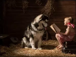 Dziewczynka czyta książkę psu rasy siberian husky