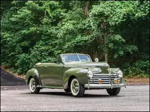 Zielony Chrysler z 1941 roku godnie się prezentuje wśród zieleni
