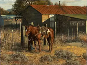 Jeździec z koniem na pastwisku