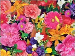 Kwiatów, Bukiet, Kolorowych