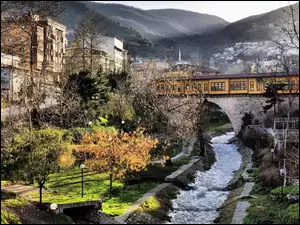 Bursa, Turcja, Rzeka, Drzewa, Miasto, Most