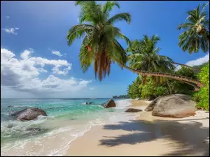 Palmy i kamienie na plaży na Seszelach