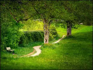 Ścieżka, Wiosna, Ławka, Park, Drzewa
