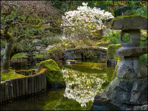 Kwiaty, Kamienie, Drzewa, Ogród japoński, Krzewy
