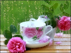 Róże, Deszcz, Herbaty, Filiżanka, Ławka