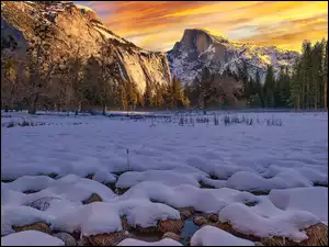 Góry, Drzewa, Śnieg, Sucha, Kalifornia, Zima, Sierra Nevada, Stany Zjednoczone, Trawa, Park Narodowy Yosemite, Dolina Yosemite