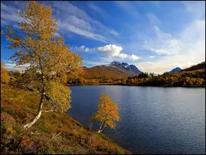 Jezioro, Brzozy, Góry, Jesień, Drzewa