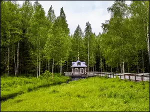 Kapliczka u źródeł rzeki Wołgi w Wołychowyji