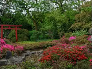 Różaneczniki, Ogród japoński, Drzewa, Strumyk