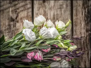 Kwiaty Eustoma w bukiecie