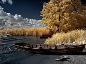 Łódka przy brzegu jeziora pośród jesiennych drzew i traw