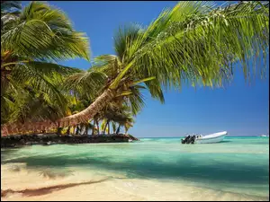 Palmy na plaży i motorówka na wybrzeżu Dominikany