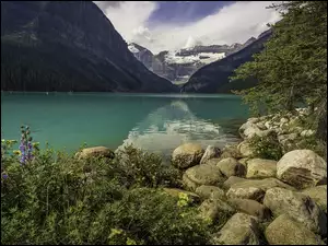 Kamienie, Góry, Park Narodowy Banff, Kwiaty, Jezioro, Drzewo, Kanada, Lake Louise