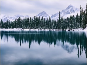 Jezioro, Góry, Odbicie, Zima, Drzewa, Śnieg, Szczyty