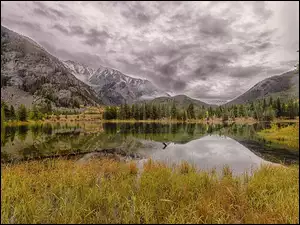 Jezioro, Góry Skaliste, Drzewa, Stany Zjednoczone, Officers Gulch Pond, Kolorado