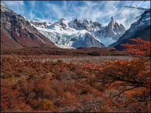 Jesień, Argentyna, Andy, Drzewa, Patagonia, Fitz Roy, Krzewy, Góry