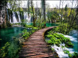 Pomost, Chorwacja, Jezioro, Wodospad, Plitvice