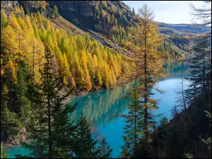 Drzewa, Jesień, Góry, Valais, Jezioro, Alpy, Szwajcaria, Lac de Tseuzier