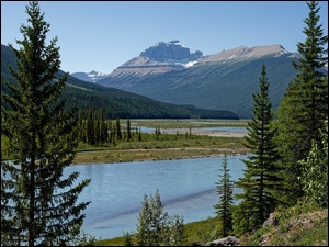 Canadian Rockies, Rzeka, Kanada, Góry, Park Narodowy Banff, Drzewa, Saskatchewan River