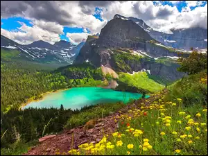 Stany Zjednoczone, Chmury, Park Narodowy Glacier, Las, Jezioro, Góry, Kwiaty, Grinnell Lake, Drzewa, Montana