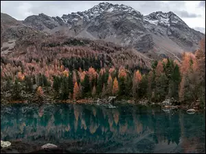 Góry, Jesień, Kolorowe, Szwajcaria, Jezioro Saoseo, Drzewa
