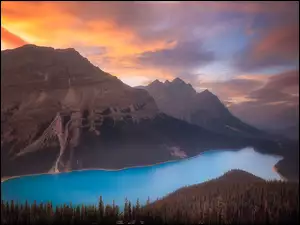 Kanada, Jezioro, Alberta, Lasy, Chmury, Peyto Lake, Góry, Park Narodowy Banff, Canadian Rockies