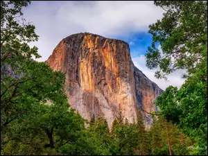 Kalifornia, Stany Zjednoczone, Góra, Drzewa, Park Narodowy Yosemite, El Capitan
