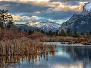 Góry, Jesień, Szuwary, Park Narodowy Banff, Jezioro, Drzewa, Kanada, Vermilion Lake