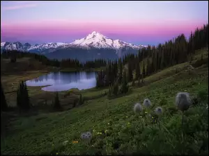 Park Narodowy Mount Rainier, Góry, Drzewa, Stany Zjednoczone, Tipsoo Lake, Jezioro, Mount Rainier