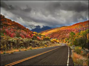 Loop Road, Nebo, Kolorowe, Chmury, Utah, Drzewa, Góra, Stany Zjednoczone, Las, Droga, Jesień