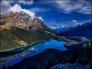 Jezioro Peyto Lake w kanadyjskich górach Canadian Rockies