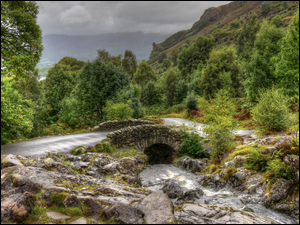 Leśna droga z mostem i kamiennym strumykiem