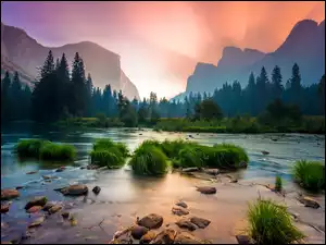 Stany Zjednoczone, Drzewa, Chmury, Trawy, Góry Sierra Nevada, Park Narodowy Yosemite, Merced River, Rzeka, Kępki, Kalifornia