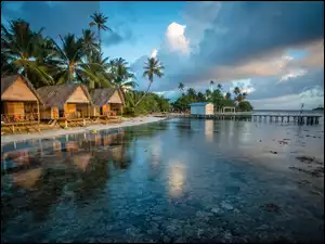 Wyspy, Palmy, Ocean, Malediwy, Domki